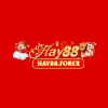 hay88forex